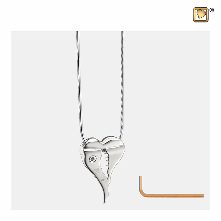 Ashanger Angelwings Bicolor Zilver, inclusief Design Slangencollier