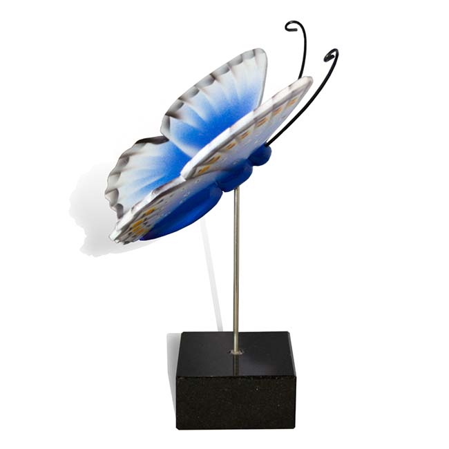 Grote Houten Asvlinder Icarus Blauwtje (0.003 liter)