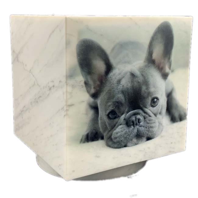 Cubos Hondenurn, Folieprint Zwartwit Eigen Hond (0.3 liter)