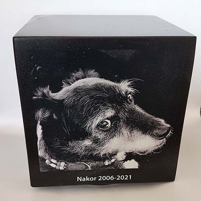 https://grafdecoratie.nl/photos/Marmer-Cubos-urn-fotogravure-zwartwit-hond-urnwebshop-2.jpg