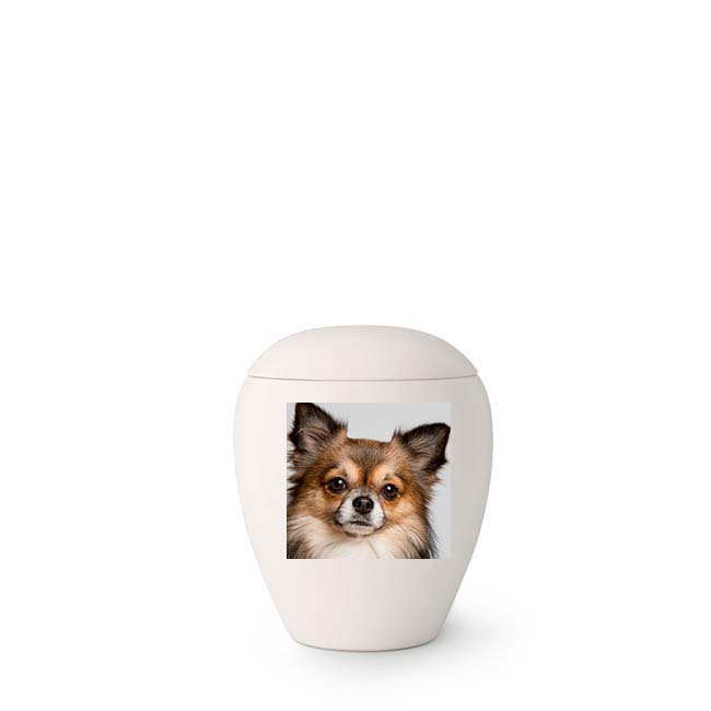 Mini Keramische Foto Urn, met Eigen Hondje (0.15 liter)