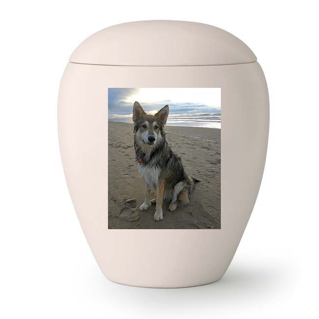 https://grafdecoratie.nl/photos/VOL65-2800-keramisch-urn-portret-urn-eigen-hond-urnwebshop-02.jpg