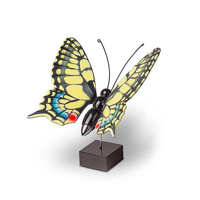 https://grafdecoratie.nl/photos/asvlinder-asbeeld-vlinder-miniurn-keepsake-VL003.JPG