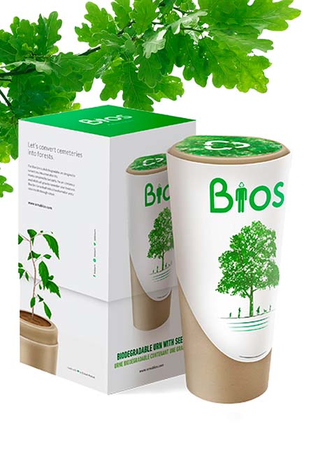 Biologisch Afbreekbare Bios Boom Urn (3 liter)