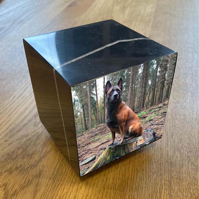 Cubos Hondenurn, Folieprint Fulcolour Eigen Hond (0.3 liter)