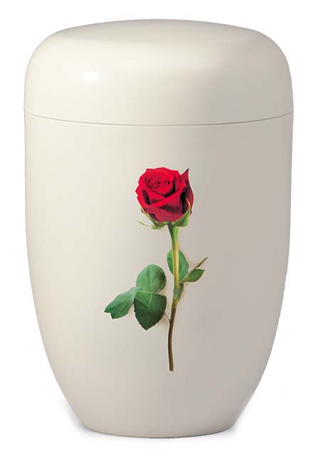 Design Urn Rode Roos op Wit (4 liter)