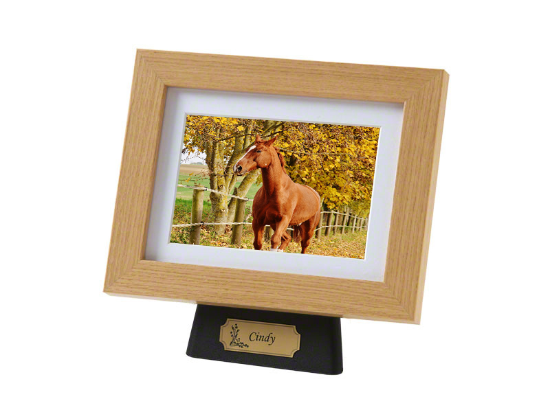 Paard of Pony Urn met Houten Fotolijst Zwart (4 liter)