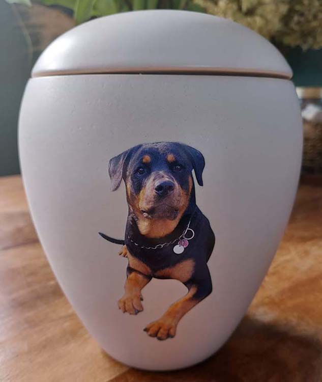 https://grafdecoratie.nl/photos/vrijstaand-transferbeeld-hond-urn-urnwebshop-3.JPG